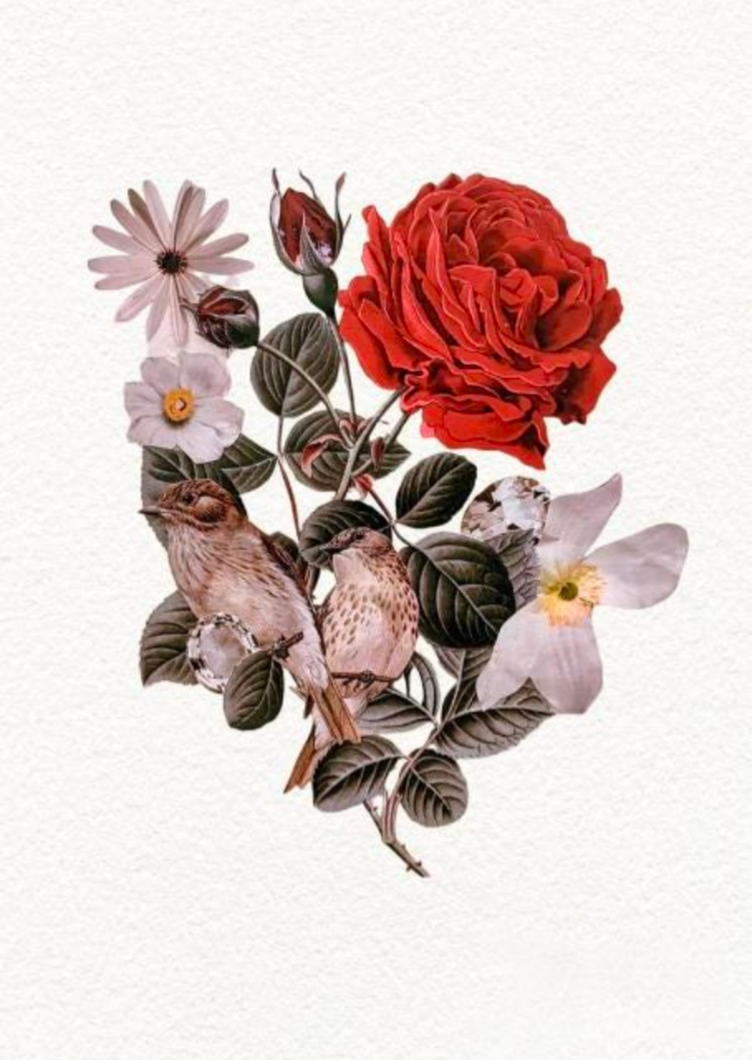 Handmade fine art collage Loud Like Love featuring two birds, red rose, daisies, and foliage on cotton rag paper. Symbolic artwork of love and hope